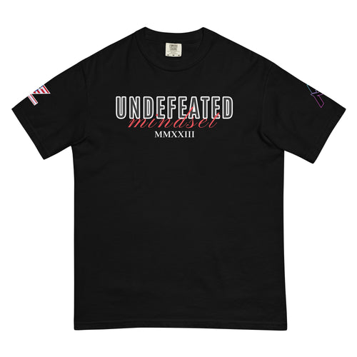 Undefeated Mindset 2023 Garment Dyed Tee